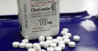 States agree to $7.4 billion settlement with Purdue Pharma in opioid litigation