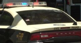 Summerfield man ejected, killed after crashing into vehicle he was trying to pass, troopers say