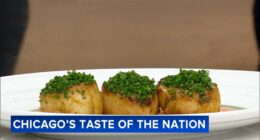 Taste of the Nation returning to Rockwell on the River in Avondale, Chicago to help put end to childhood hunger