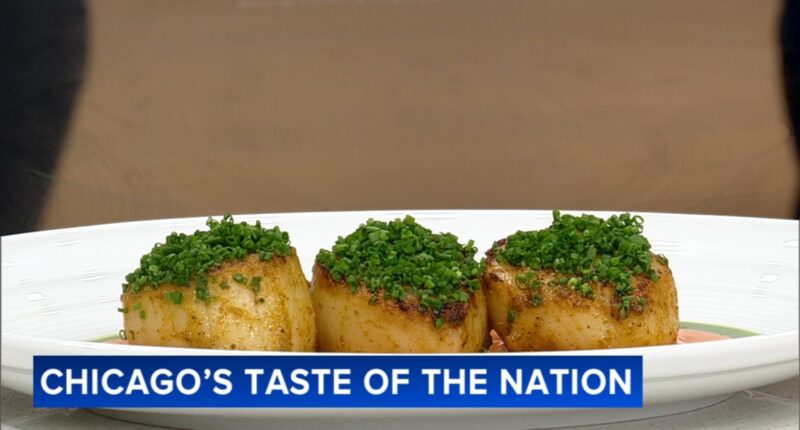 Taste of the Nation returning to Rockwell on the River in Avondale, Chicago to help put end to childhood hunger