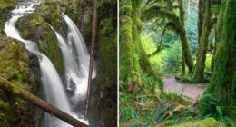 Teen killed in 50-foot plunge at tourist hotspot as body is found pinned between iconic waterfalls