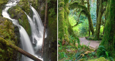 Teen killed in 50-foot plunge at tourist hotspot as body is found pinned between iconic waterfalls