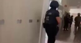 Ten dead after 'bullied pupil' launches shooting rampage at Austrian school, with 28 people seriously wounded