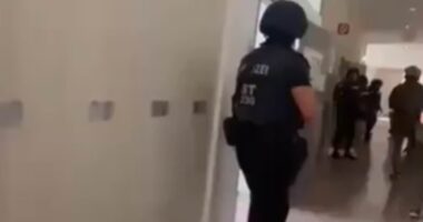 Ten dead after 'bullied pupil' launches shooting rampage at Austrian school, with 28 people seriously wounded