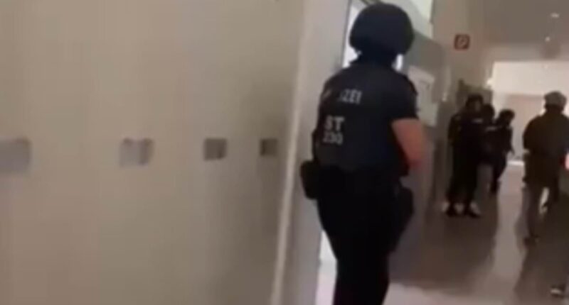 Ten dead after 'bullied pupil' launches shooting rampage at Austrian school, with 28 people seriously wounded