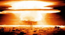 The 'Population Bomb' Won't Explode. It Will Fizzle Out.
