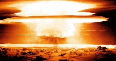 The 'Population Bomb' Won't Explode. It Will Fizzle Out.