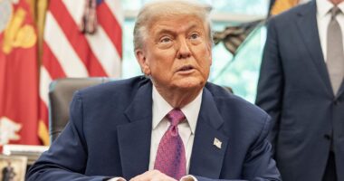 The REAL reason Trump allies plan to sit out his massive military parade exposed as 'socialist' criticism mounts