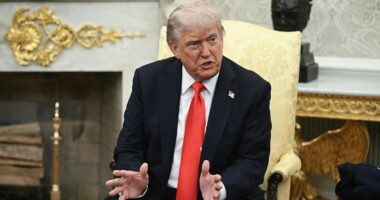The Trump broken hearts club: All the president's jilted bromances in full… as bitter Elon Musk fight escalates