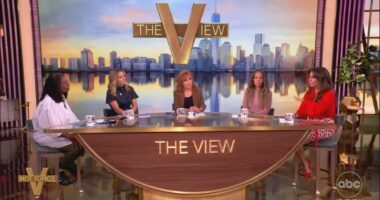 The View hosts pine after 'gorgeous' Gavin Newsom as they defend his LA riots response