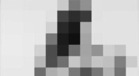 The sickening image on public display at MONA in Tasmania that traumatised a visitor