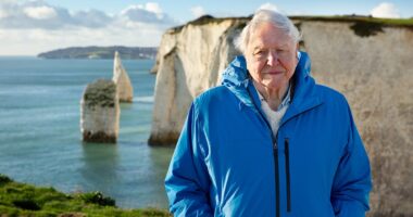 The truth behind David Attenborough's new ocean documentary - including how involved he REALLY is and the underwater shots that look 'too good to be true'