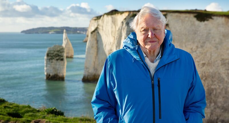 The truth behind David Attenborough's new ocean documentary - including how involved he REALLY is and the underwater shots that look 'too good to be true'