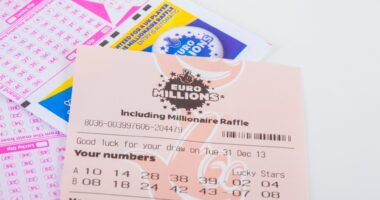 Thousands mistakenly told they won up to millions in major lottery gaffe as players forced to abandon splurging dreams