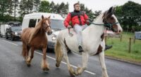 Thousands of Travellers and Gypsies descend on Appleby as world famous horse fair gets started - while locals batten down the hatches