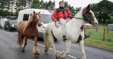 Thousands of Travellers and Gypsies descend on Appleby as world famous horse fair gets started - while locals batten down the hatches