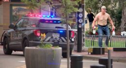 Total number of victims in Sunday's Pearl Street terror attack increases to 15 people, 1 dog: Boulder Co. DA