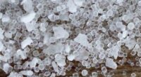 Tourists Hoping to Snap a Selfie Accidentally Damage Priceless Object Covered in Crystals in Museum