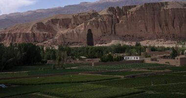 Tourists are trickling into Afghanistan and the Taliban government is eager to welcome them