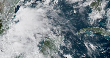 Tropical Storms Barry and Flossie form off Mexico's southeast and southwest coasts