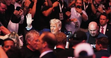 Trump attends UFC championship fight in New Jersey, taking a break from Musk feud for cage fights