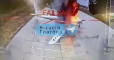 Trump hailed Ukraine ‘Op Spiderweb’ drone strikes as ‘badass’ – but he fears Putin will ‘go crazy’ after crunch call