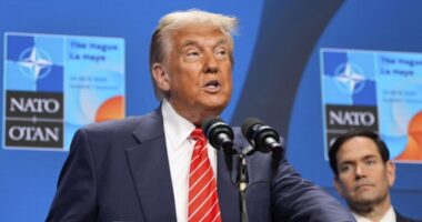 Trump is a Jacksonian President—and Reagan Might Have Been, Too