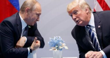 Trump says Putin told him Russia will respond to Ukrainian attack