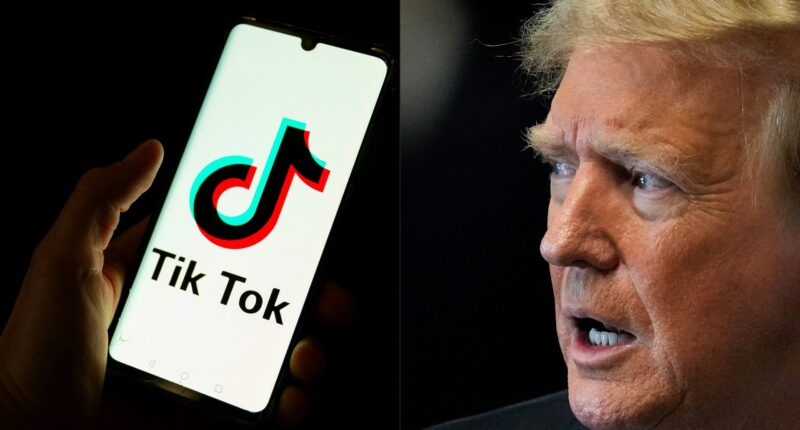 Trump says he has group of ‘very wealthy people’ lined up to buy TikTok after pushing back ban of social media app