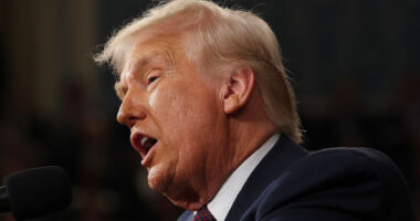 Trump vs Musk feud forces allies to take sides as questions swirl over Elon ‘olive branch’ and X rant fallout