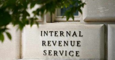 Trump's budget bill could complicate 2026 tax filing season after IRS cuts, watchdog warns