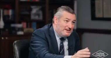 Tucker Carlson is stunned as Ted Cruz reveals America's big Iran secret... then frantically backpedals