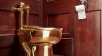 Two men behind £4.8million golden toilet heist at Blenheim Palace are jailed