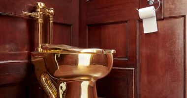 Two men behind £4.8million golden toilet heist at Blenheim Palace are jailed