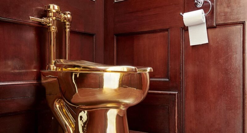Two men behind £4.8million golden toilet heist at Blenheim Palace are jailed