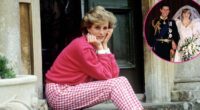 Unearthed Princess Diana Letter Reveals Mindset After Charles Wedding