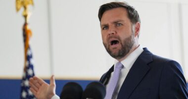 Vance blames California Dems for violent immigration protests and calls Sen. Alex Padilla 'Jose'