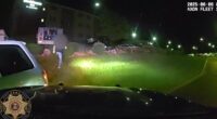 Vehicle theft suspect arrested after pursuit in Douglas County