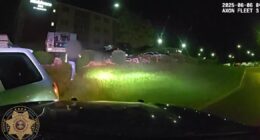 Vehicle theft suspect arrested after pursuit in Douglas County