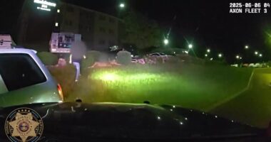 Vehicle theft suspect arrested after pursuit in Douglas County