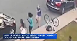 Video shows what led up to Chicago shooting at Douglass Park that killed Marjay Dotson, injured Laquan McDonald's cousin