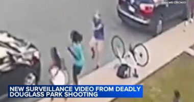 Video shows what led up to Chicago shooting at Douglass Park that killed Marjay Dotson, injured Laquan McDonald's cousin