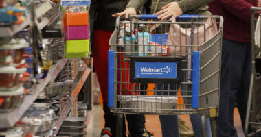 Walmart hit with backlash over heiress’ ‘no kings’ post as shoppers vow to boycott store