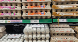 Warning to avoid cooking eggs certain way as 1.7m cartons recalled over risk of deadly pathogens