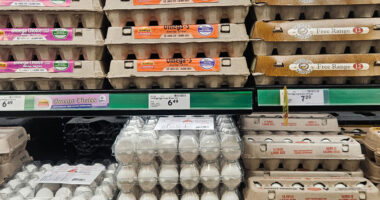 Warning to avoid cooking eggs certain way as 1.7m cartons recalled over risk of deadly pathogens