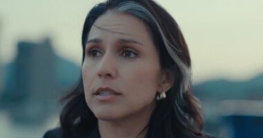 Watch Trump intel chief Tulsi Gabbard warn of nuclear ‘annihilation’ & slam ‘elites with bomb shelters’ in puzzling vid