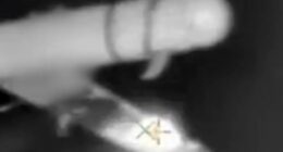 Watch jaw-dropping moment laser weapon is used for the first time EVER on the battlefield as kamikaze drone is blasted