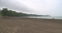 Water quality predicted 'poor' again at Edgewater Beach due to E. coli concentration levels
