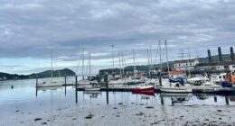 We live in the cheapest seaside town in the UK - it's in the middle of nowhere and it rains all the time - but we love it