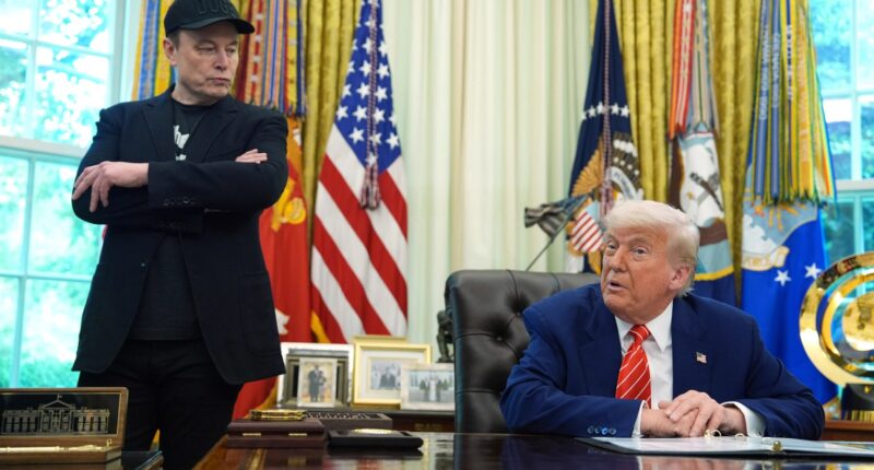 What caused Trump & Elon Musk’s explosive fallout? – from NASA spat to key role of Don’s teen relative, I know the truth